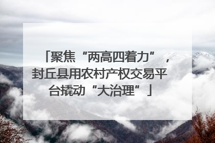 聚焦“两高四着力”，封丘县用农村产权交易平台撬动“大治理”